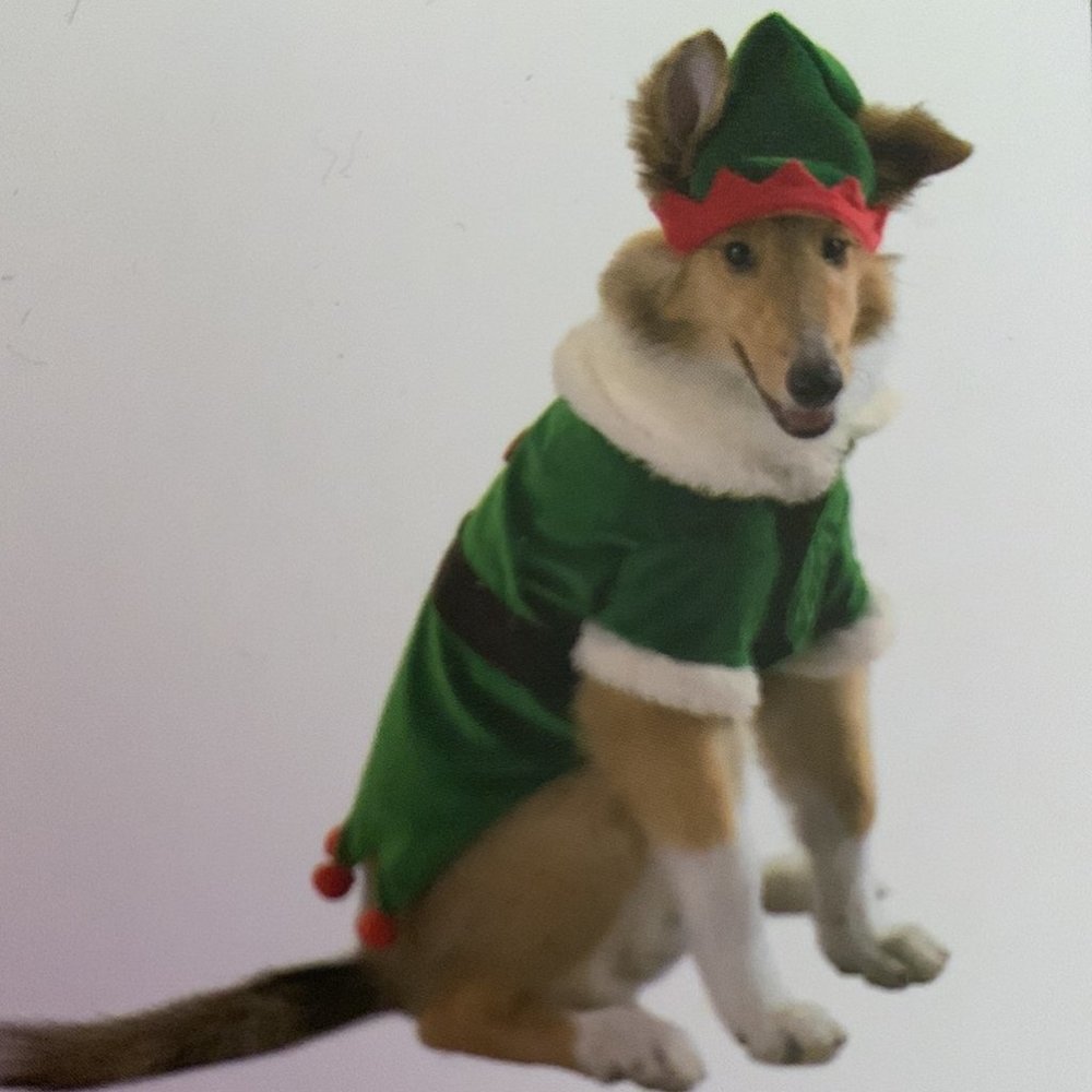 Dog elf Costume
